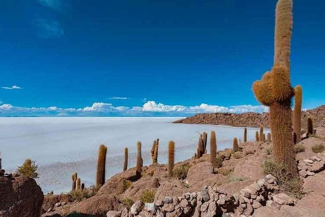 uyuni-salt-1-day-tour-with-guide-in-english-lunch-and-sunset