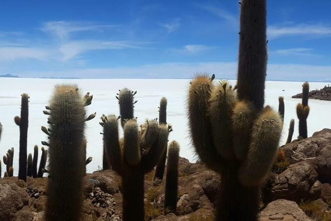 uyuni-saltflat-from-san-pedro-de-atacama-roundtrip-or-one-way-to-uyuni