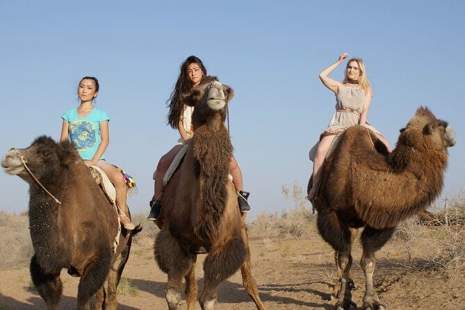 Uzbekistan Highlights & Village Life: 9-Day Tour from Tashkent - Who Should Consider This Tour?