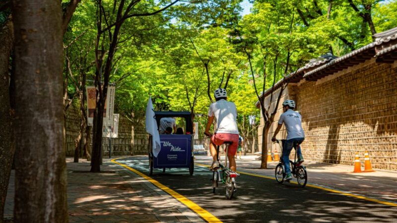 v-i-p-morning-pedicab-tour