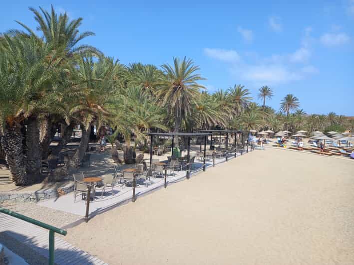 Vai Palm Beach Full Day Private Tour - An In-Depth Look at the Vai Palm Beach Private Tour