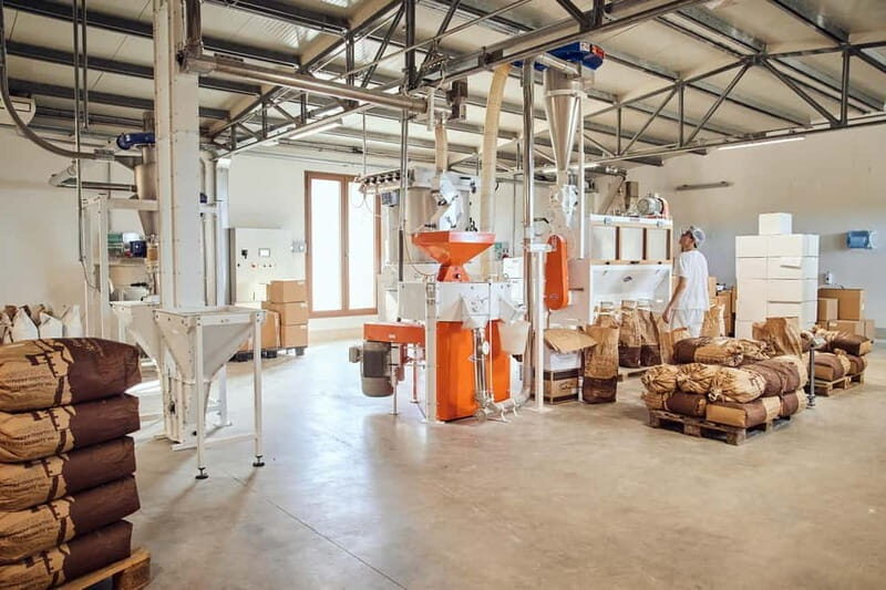Val d'Orcia: Mill and Pasta Factory Tour with Tasting Lunch - An Authentic Taste of Tuscany: Val dOrcia Mill and Pasta Factory Tour with Tasting Lunch