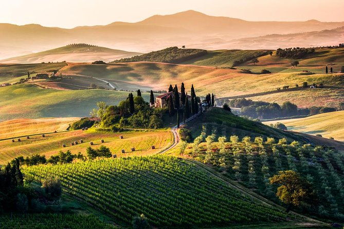 val-dorcia-private-tour-montalcino-pienza-and-montepulciano