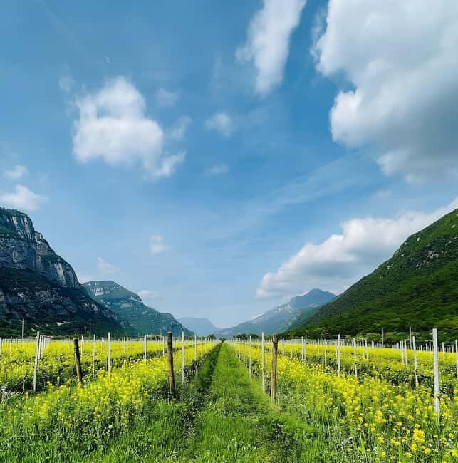 Valdadige: Winery Tour with 4 Wine Tastings - Discovering Valdadige: The Setting and Its Significance