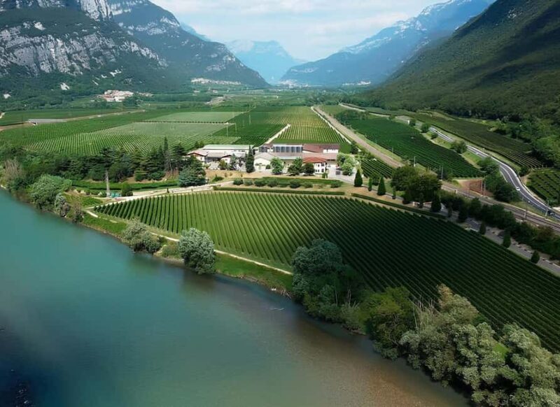 Valdadige: Winery Tour with 4 Wine Tastings - Practicalities: What’s Included and What’s Not