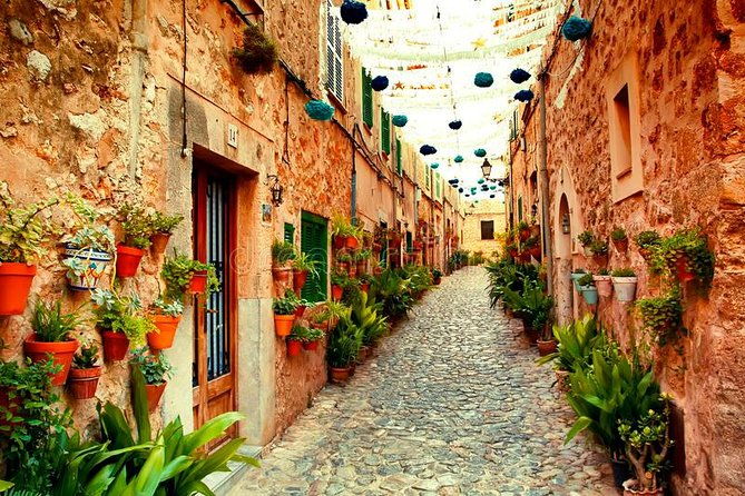 valdemossa-half-day-tour