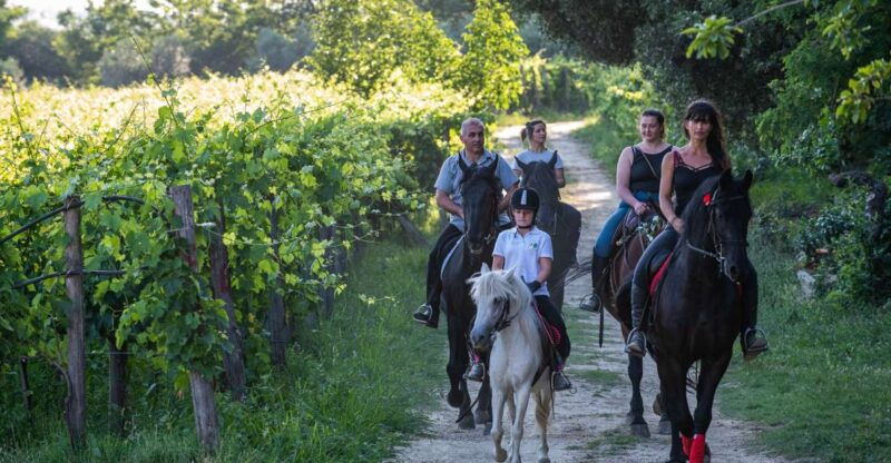 valdichiana-horseback-riding-tour-with-tuscan-picnic