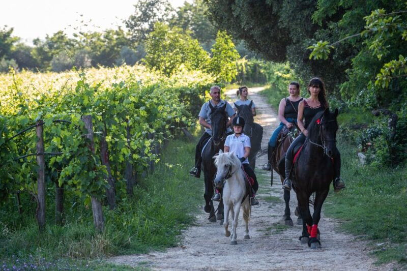 valdichiana-horseback-riding-tour-with-tuscan-picnic