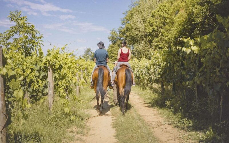 valdichiana-horseback-riding-tour-with-tuscan-picnic