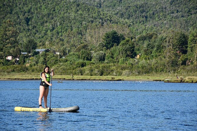 valdivia-sup-cruises-for-6-people-with-transportation-included
