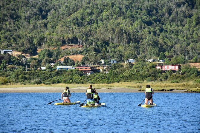 valdivia-sup-cruises-for-6-people-with-transportation-included