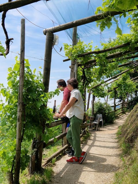 valdobbiadene-prosecco-express-wine-tasting-and-e-bike-tour