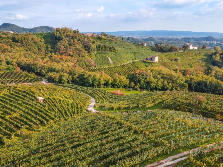valdobbiadene-prosecco-express-wine-tasting-and-e-bike-tour