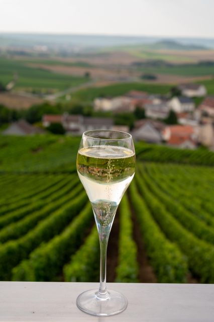 valdobbiadene-prosecco-private-tour-taste-with-sommelier