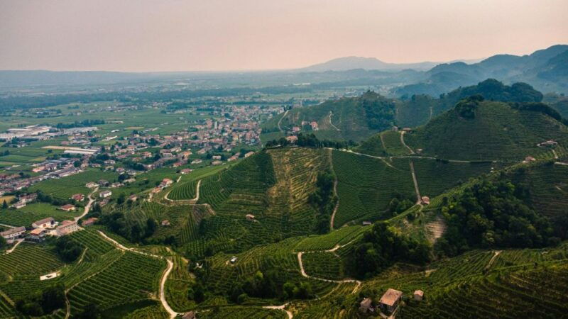 valdobbiadene-prosecco-private-tour-taste-with-sommelier