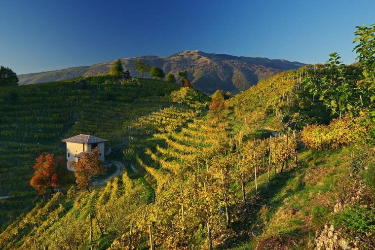 valdobbiadene-prosecco-tasting-with-winery-vineyard-tour