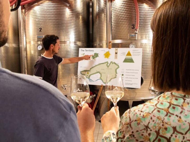 Valdobbiadene - Visit to the winery and tasting of DOCG Superiore wines - Key Points