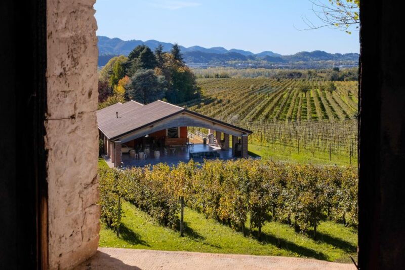 valdobbiadene-winery-tour-with-wine-and-food-tasting