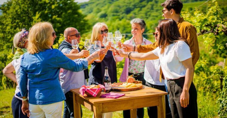 valdobbiadeneprosecco-superiore-hills-tour-with-winetasting