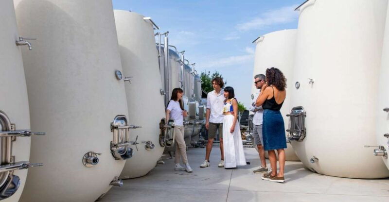 valdobbiadeneprosecco-tastingappetizerswinery-vineyard