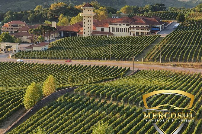 vale-dos-vinhedos-private-group-tour-from-porto-alegre