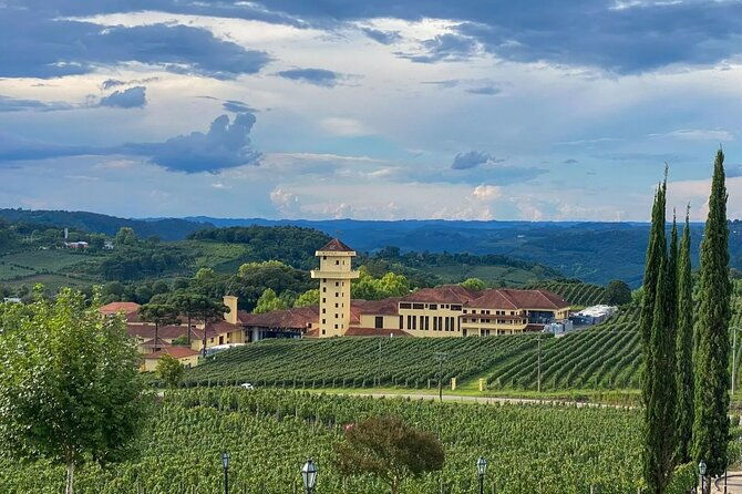 vale-dos-vinhedos-private-tour-from-porto-alegre-or-gramado
