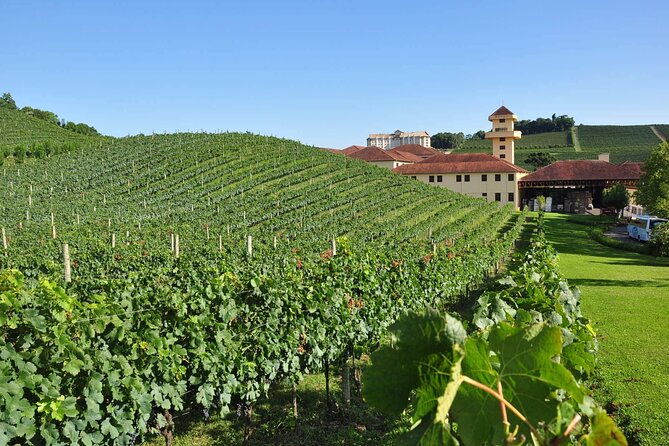 vale-dos-vinhedos-private-tour-from-porto-alegre-or-gramado