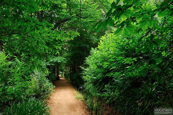 vale-paraiso-paradise-valley-walk