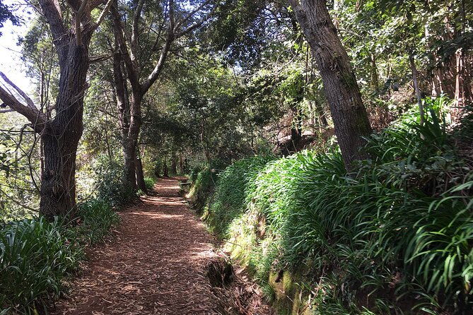 vale-paraiso-paradise-valley-walk