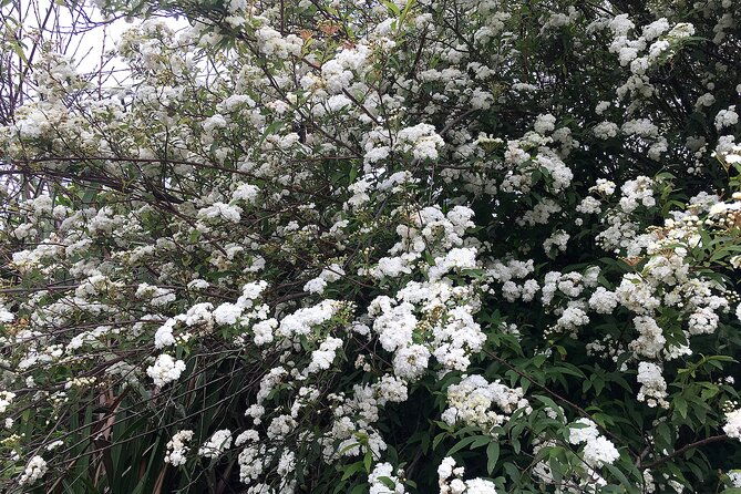 vale-paraiso-paradise-valley-walk