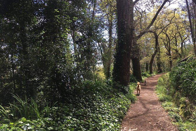 vale-paraiso-paradise-valley-walk