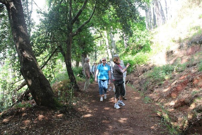 vale-paraiso-rochao-half-day-walk