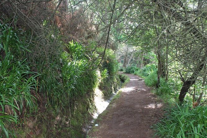 vale-paraiso-rochao-half-day-walk