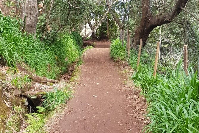 vale-paraiso-rochao-half-day-walk