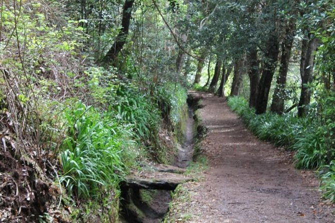 vale-paraiso-rochao-half-day-walk