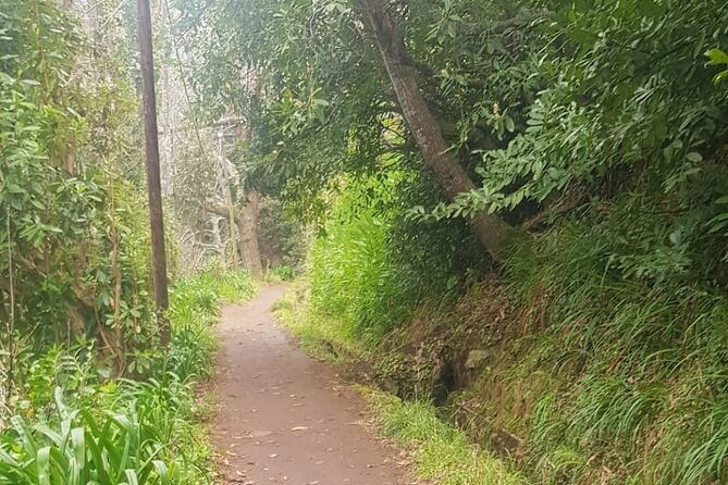 vale-paraiso-rochao-half-day-walk