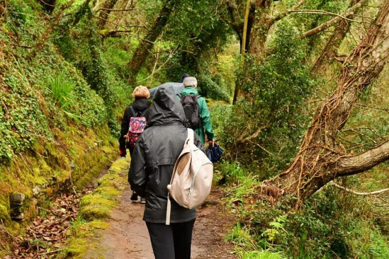 vale-paraiso-rochao-madeira-island-walk