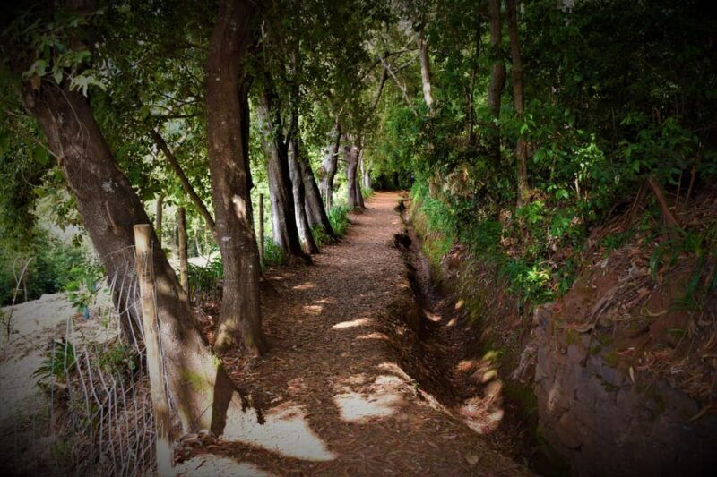 vale-paraiso-rochao-madeira-island-walk
