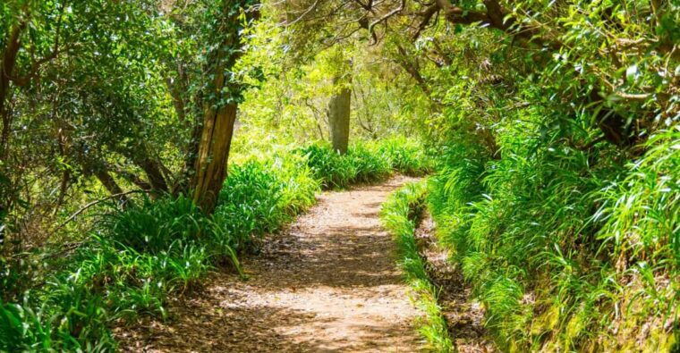 vale-paraiso-rochao-madeira-island-walk