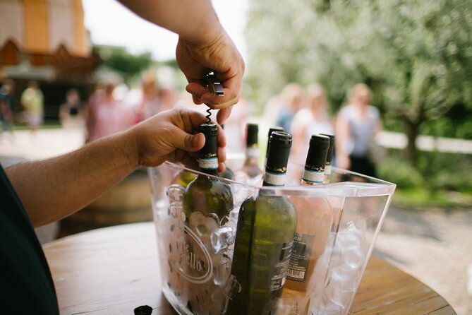 valeggio-sips-of-summer-3-young-wines-with-guided-tour