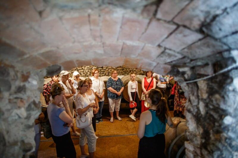 valeggio-summer-sips-3-young-wines-with-guided-winery-tour