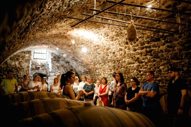 valeggio-summer-sips-3-young-wines-with-guided-winery-tour