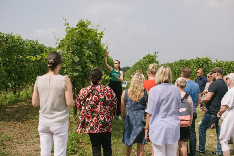 valeggio-summer-sips-3-young-wines-with-guided-winery-tour