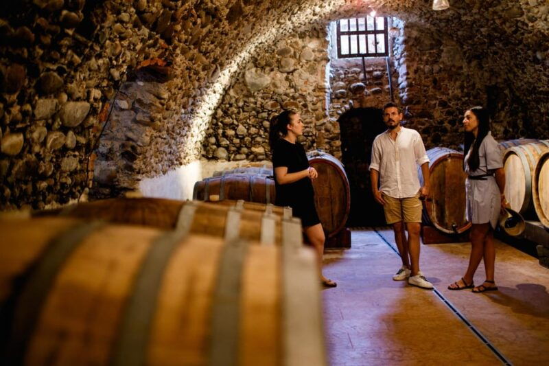 valeggio-the-soul-of-the-territory-in-5-wines-and-guided-winery-tour
