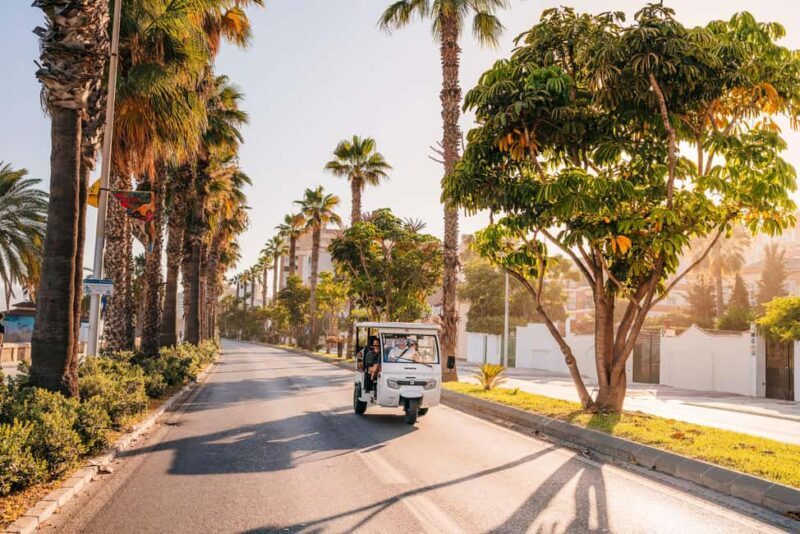 Valencia: 1-hour Private Tuk Tuk Tour - Key Points