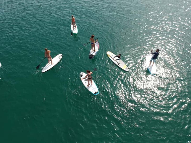 Valencia: 1 Hour Stand Up Paddle Board Lesson - The Basic Outline: What to Expect