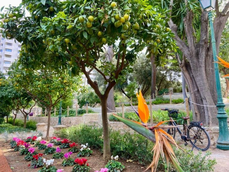 valencia-2-in-1-biking-and-walking-audio-guided-route