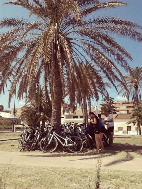 valencia-3-hour-city-bike-tour