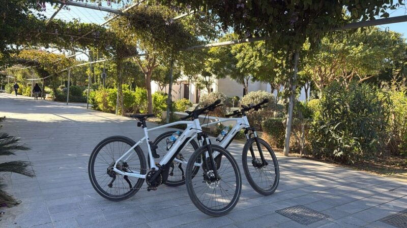 valencia-all-in-one-beaches-old-town-city-arts-by-e-bike