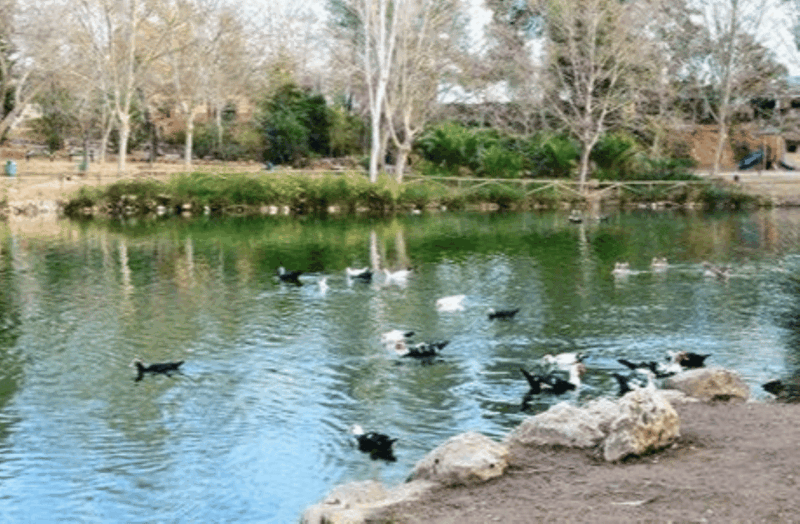 valencia-anna-alhambra-and-3-waterfalls-guided-tour